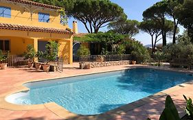 Sous Les Pins Parasols