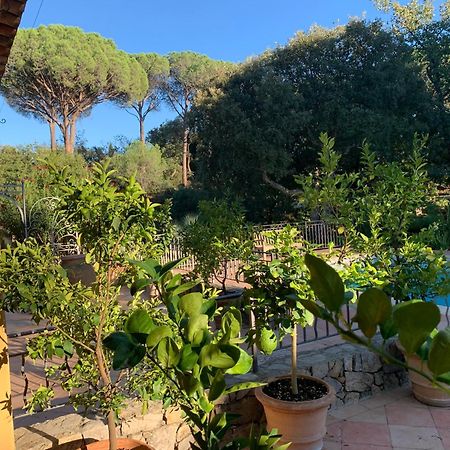 Sous Les Pins Parasols Vidauban Extérieur photo