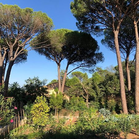 Sous Les Pins Parasols Vidauban Extérieur photo