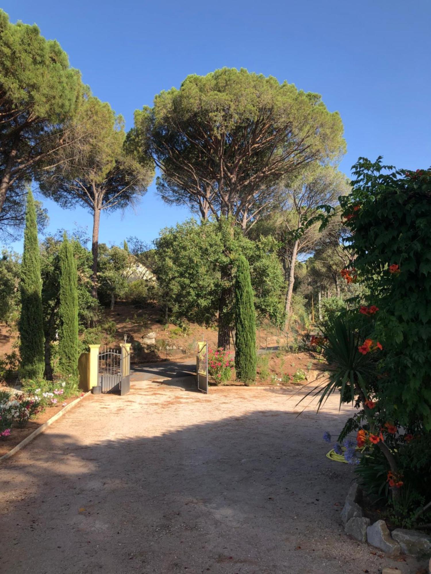 Sous Les Pins Parasols Vidauban Extérieur photo