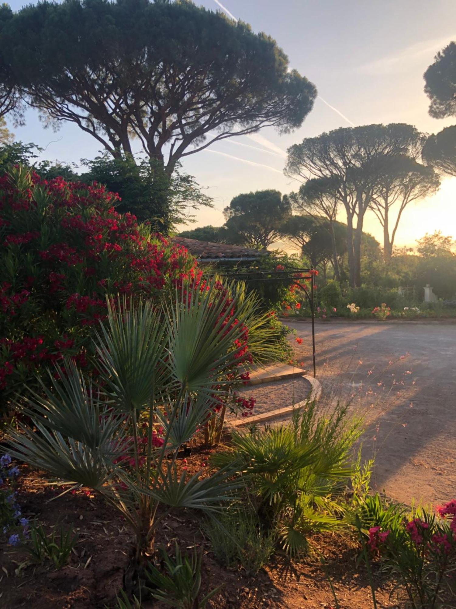 Sous Les Pins Parasols Vidauban Extérieur photo