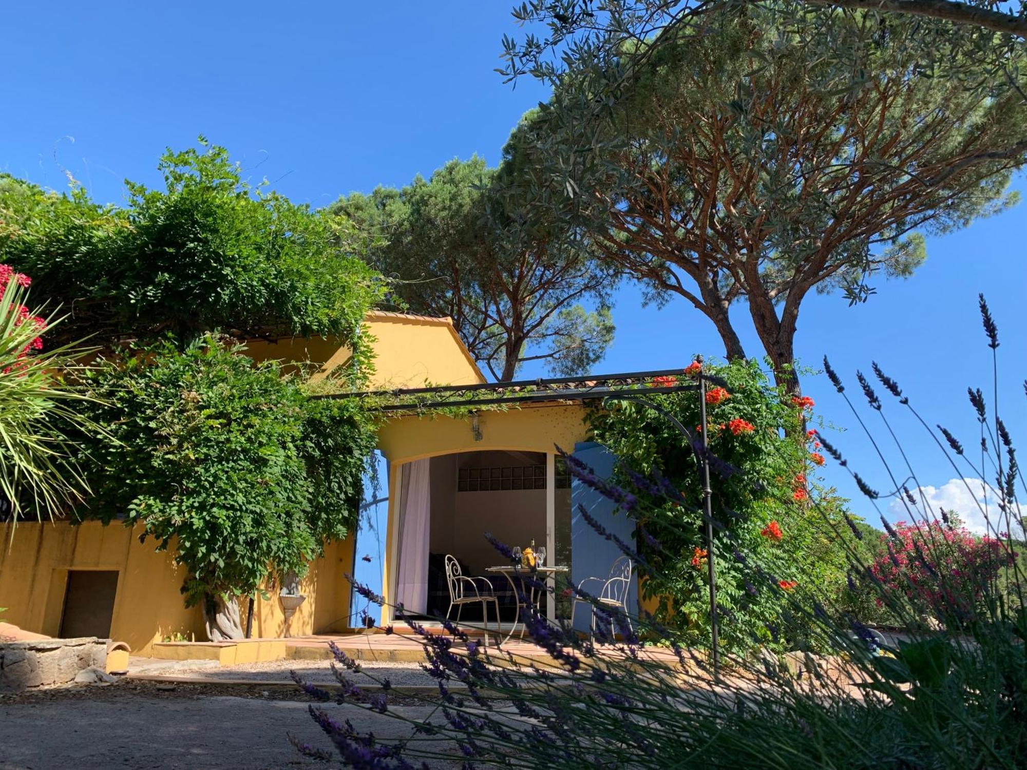 Sous Les Pins Parasols Vidauban Extérieur photo