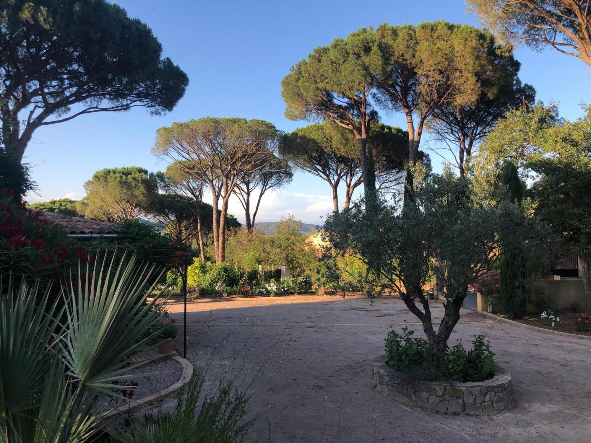 Sous Les Pins Parasols Vidauban Extérieur photo