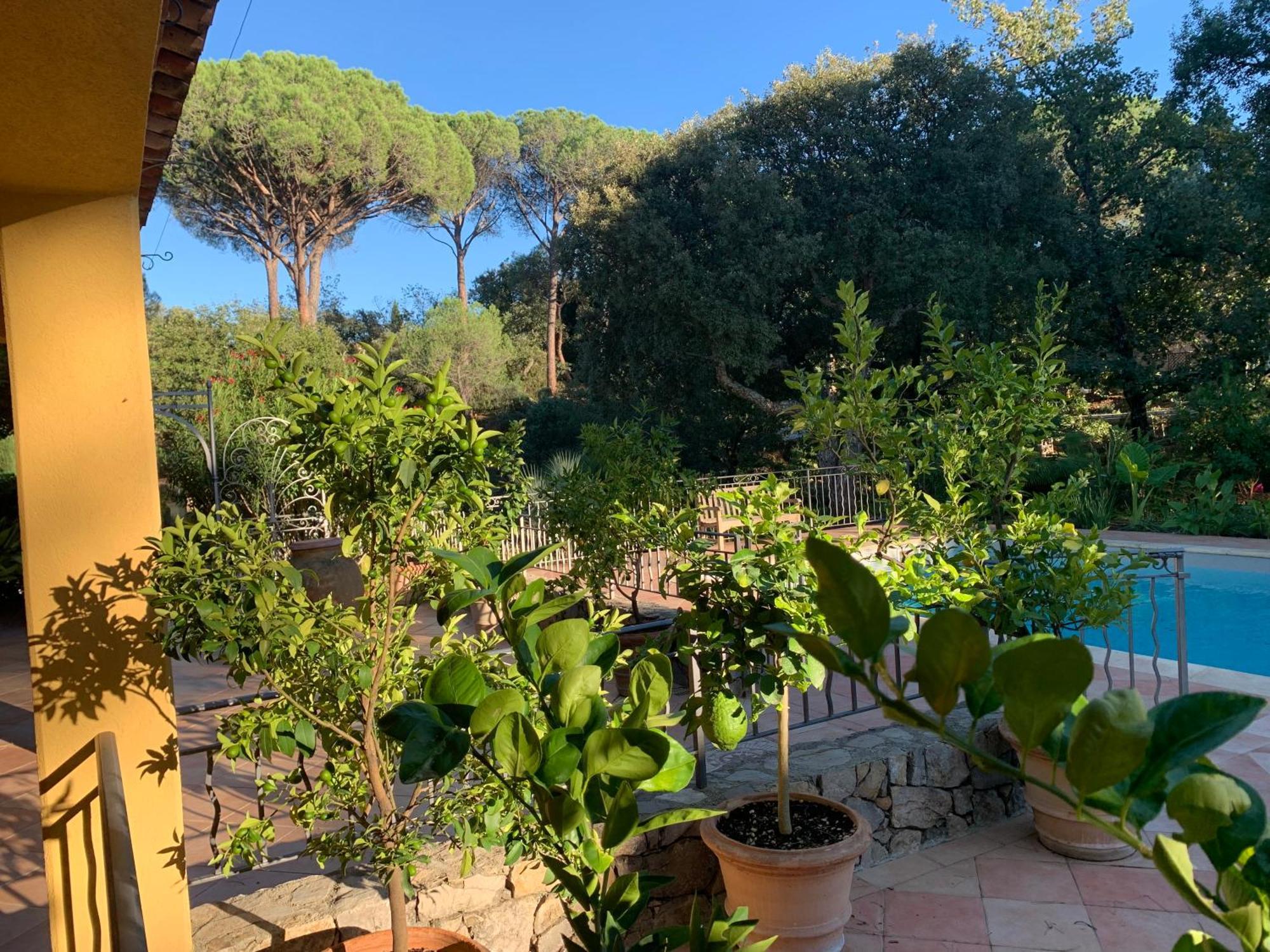 Sous Les Pins Parasols Vidauban Extérieur photo