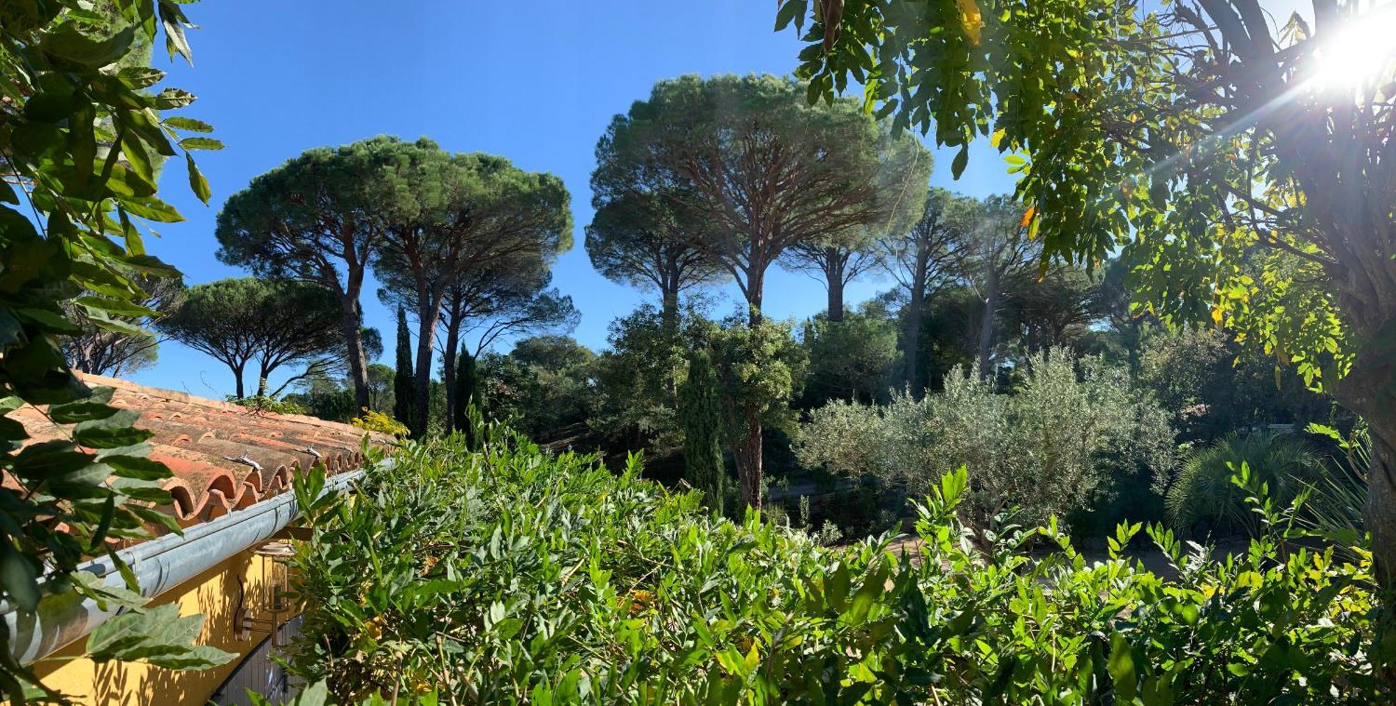 Sous Les Pins Parasols Vidauban Extérieur photo