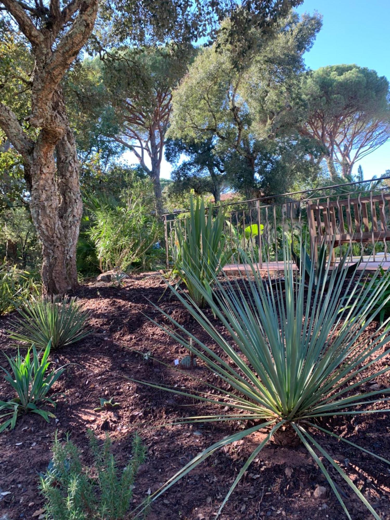 Sous Les Pins Parasols Vidauban Extérieur photo