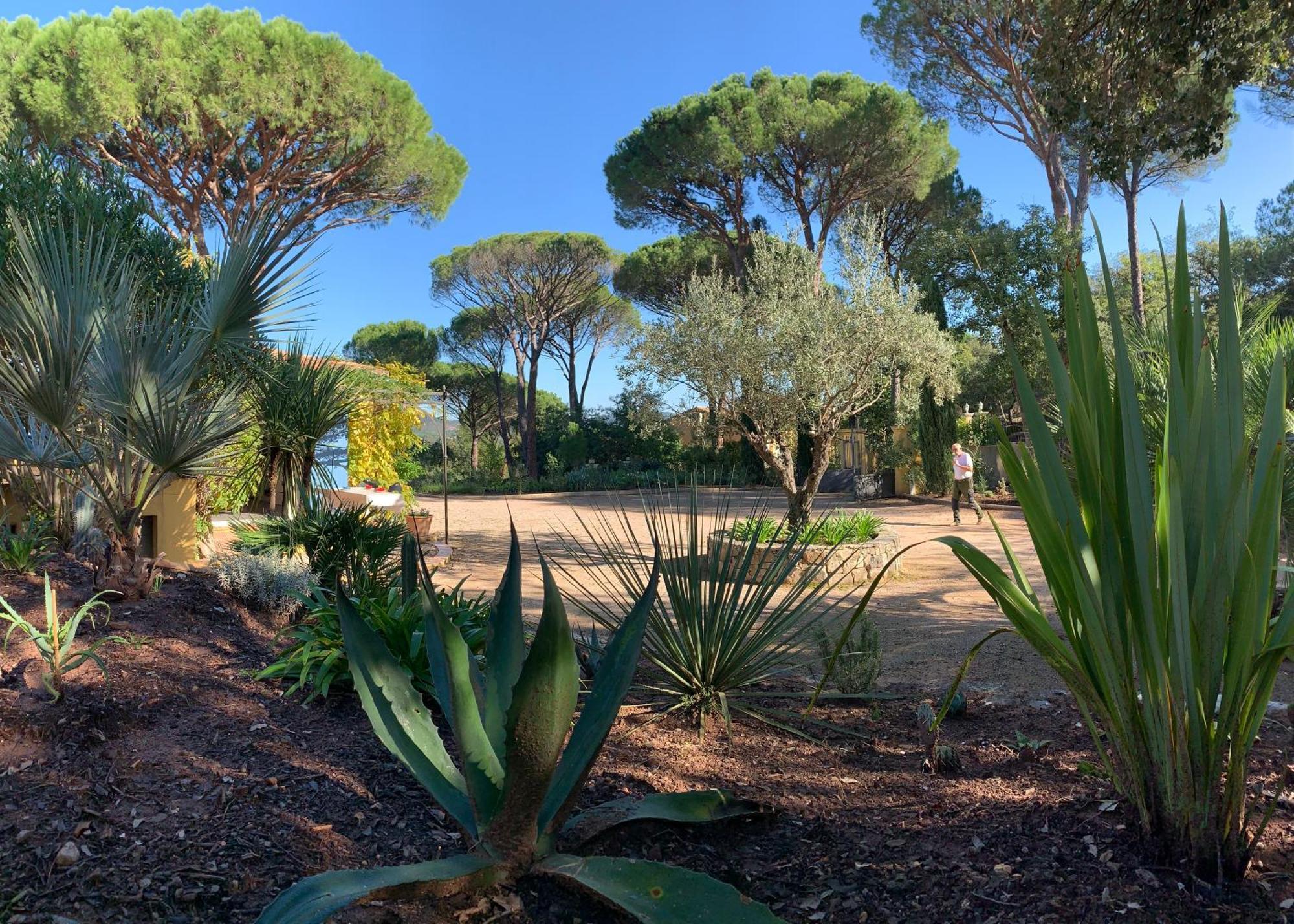 Sous Les Pins Parasols Vidauban Extérieur photo